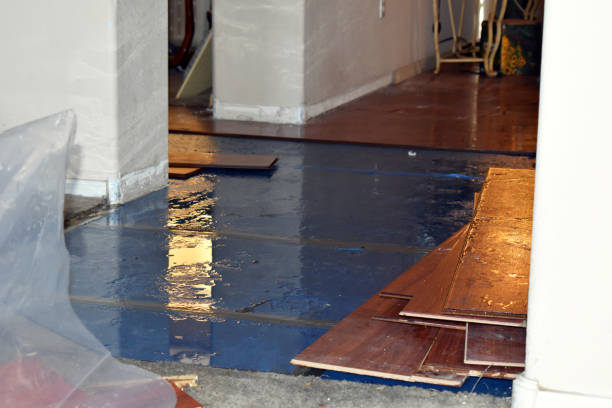 Professional Emergency Water Damage Restoration technician working in Oak City, UT